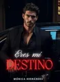 Eres Mi Destino cover