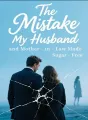 The Mistake My Husband and Mother-in-Law Made cover