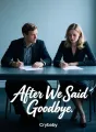 After We Said Goodbye cover