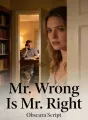 Mr. Wrong Is Mr. Right cover