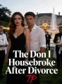 The Don I Housebroke After Divorce cover