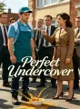 Perfect Undercover cover