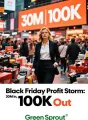 Black Friday Profit Storm: 30M In, 100K Out cover