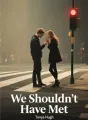 We Shouldn’t Have Met cover