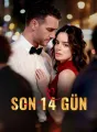 Son 14 Gün cover