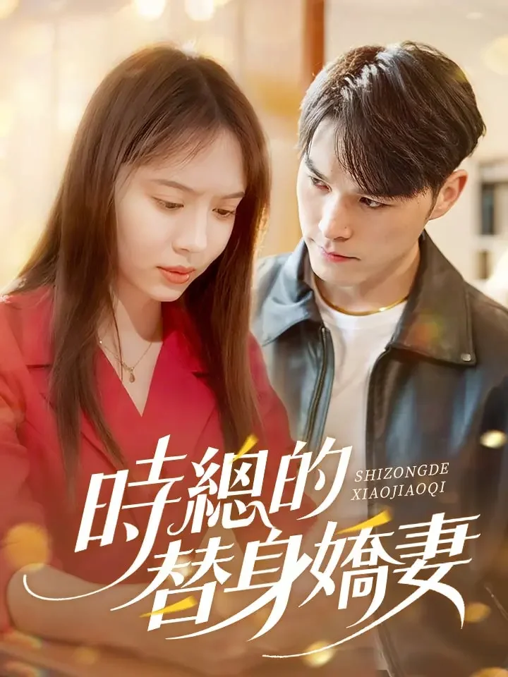 時總的替身嬌妻