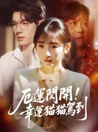 厄運閃開，幸運貓貓駕到