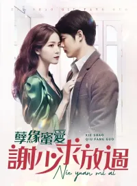 孽緣蜜愛謝少求放過