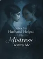 When My Husband Helped His Mistress Destroy Me cover