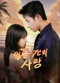 일몰 전의 사랑 cover