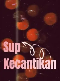 Sup Kecantikan