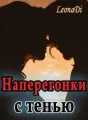 Наперегонки с тенью cover