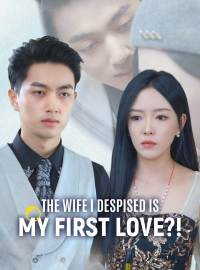 The Wife I Despised Is My First Love?! (English-dubbed)Short Dramas
