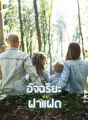 อัจฉริยะฝาแฝด cover