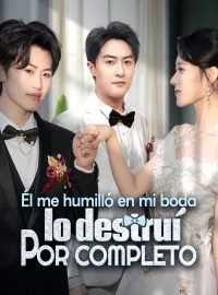 Él me humilló en mi boda, lo destruí por completo
