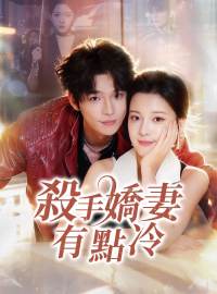 殺手嬌妻有點冷