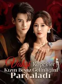 Vahşi Köpekler Kızın Beyaz Gelinliğini Parçaladı