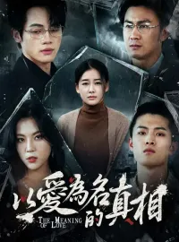 以愛爲名的真相