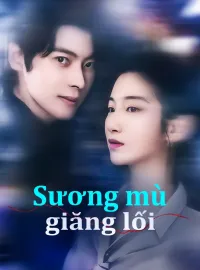 Sương mù giăng lối