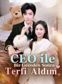 CEO ile Bir Geceden Sonra Terfi Aldım