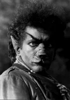 Ashton Wolf Wallpaper