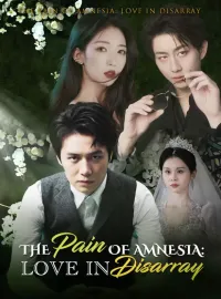The Pain of Amnesia: Love in Disarray