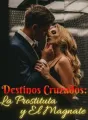Destinos Cruzados: La Prostituta y El Magnate  cover
