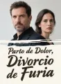 Parto de Dolor, Divorcio de Furia cover