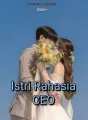 Istri Rahasia CEO cover