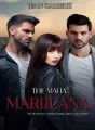 THE MAFIA: MARIJUANA cover