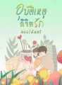 อุบัติเหตุลิขิตรัก cover