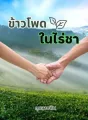 ข้าวโพดในไร่ชา (Mpreg)  cover