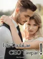 Istri Dadakan CEO Tampan! cover