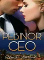 PEBINOR CEO (PC) cover