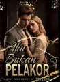 Aku Bukan Pelakor. cover
