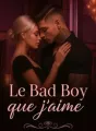 Le Bad boy que j'aime cover