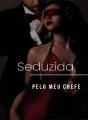 Seduzida pelo meu chefe cover