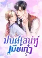 มนต์เสน่ห์เมียเก่า cover