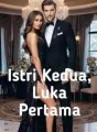 Istri Kedua, Luka Pertama cover