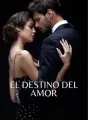 EL DESTINO DEL AMOR cover