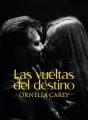 Las vueltas del destino cover