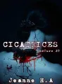 Cicatrices cover