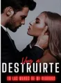 VOY A DESTRUIRTE. cover