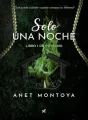 Solo Una Noche cover