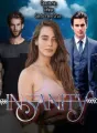Insanity cover