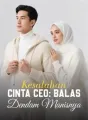 Kesalahan Cinta CEO: Balas Dendam Manisnya cover