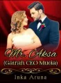 MR. AKSA cover
