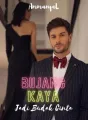 Bujang Kaya Jadi Budak Cinta  cover