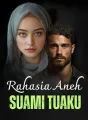 Rahasia Aneh Para Suami cover