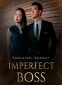 IMPERFECT BOSS cover